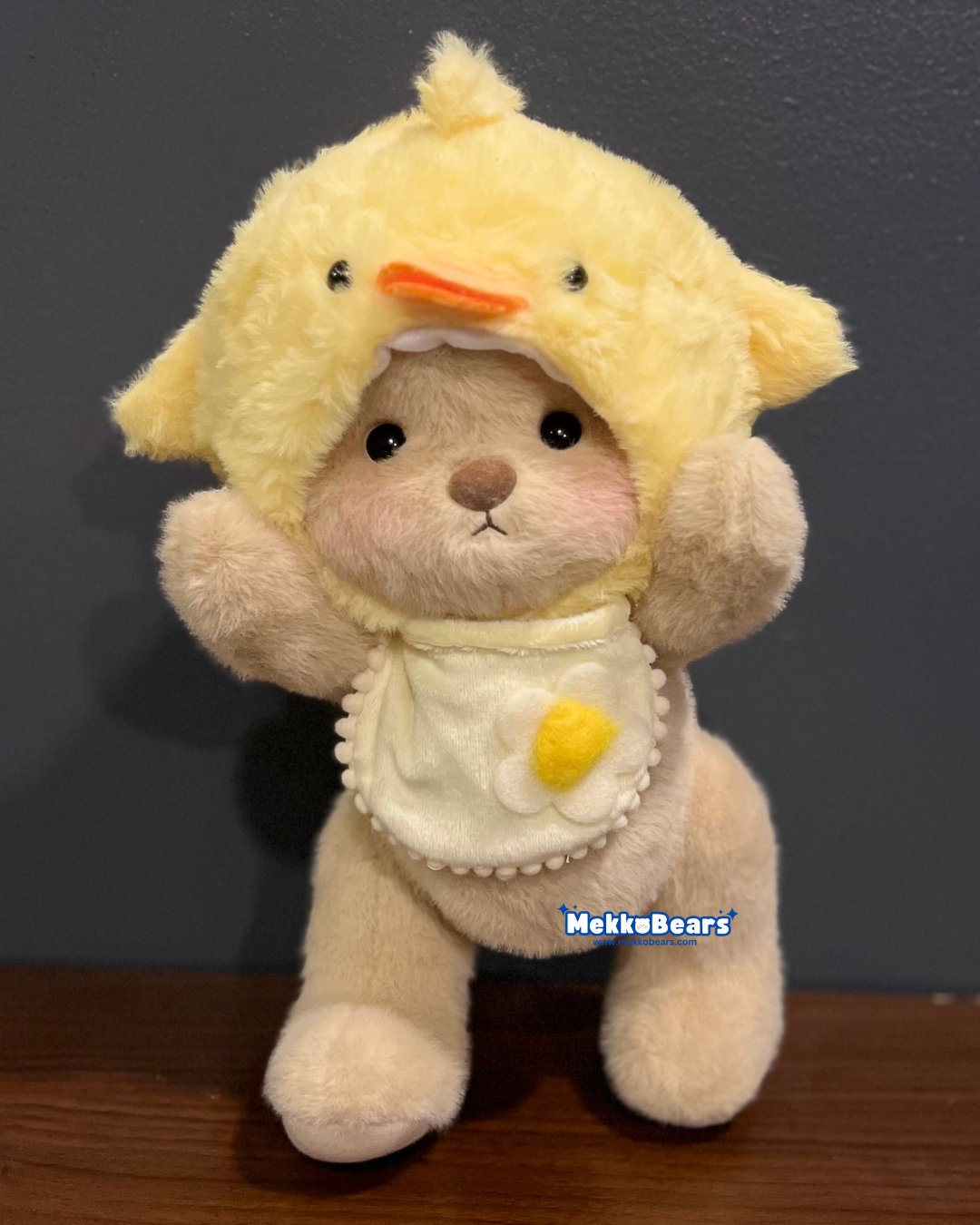 Little Chick Hat & Bib (Outfit Only)