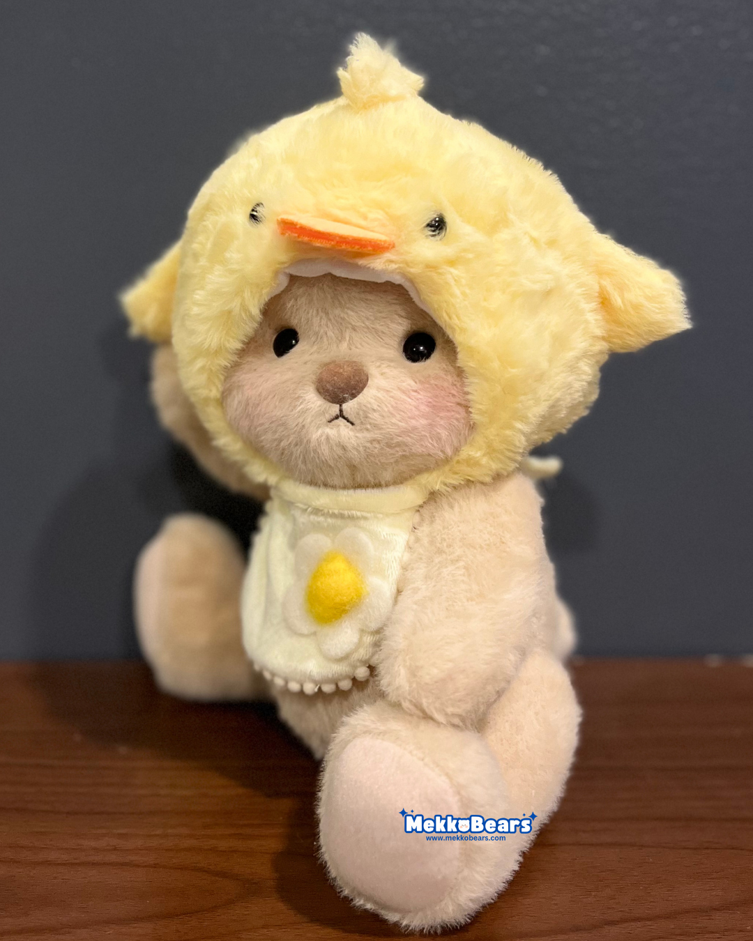 Little Chick Hat & Bib (Outfit Only)
