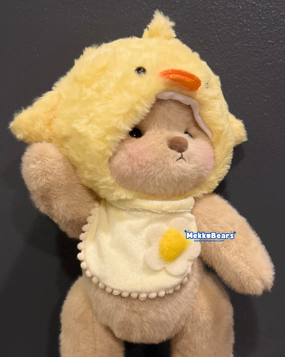 Little Chick Hat & Bib (Outfit Only)