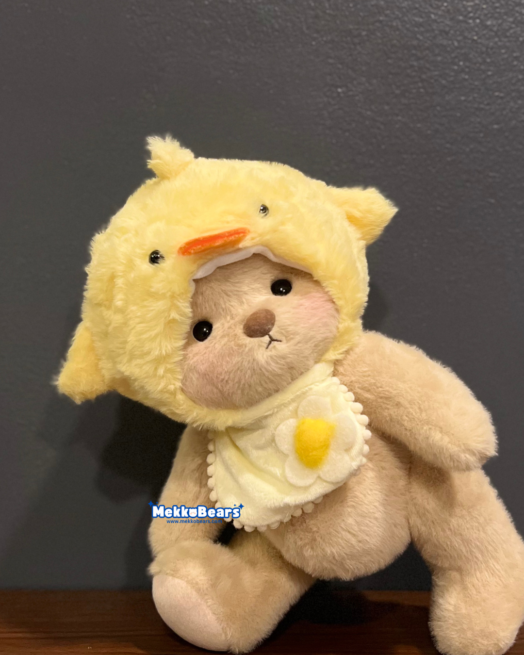 Little Chick Hat & Bib (Outfit Only)