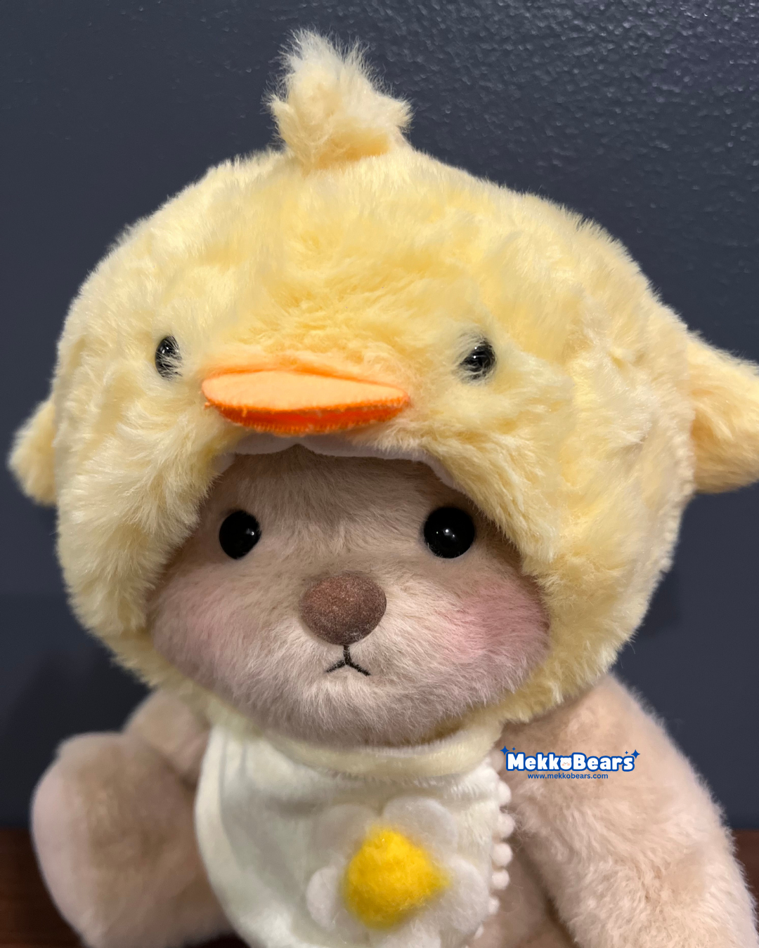 Little Chick Hat & Bib (Outfit Only)
